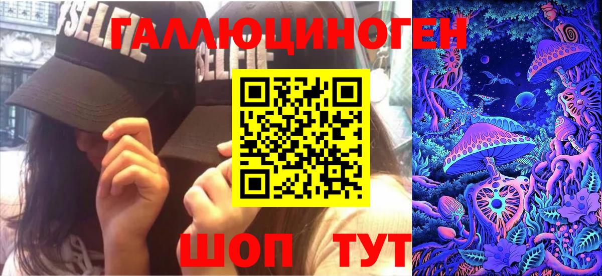 Вичуга  Псилоцибиновые грибы Psilocybe  Псилоцибиновые грибы Psilocybe  Вход с VPN 