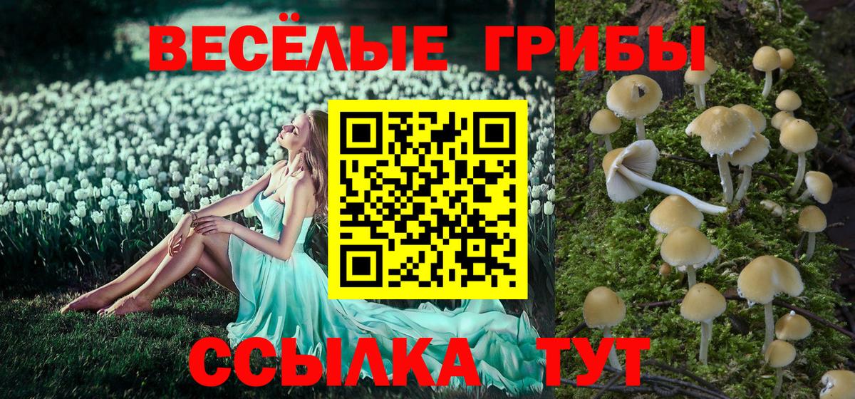 Псилоцибиновые грибы мухоморы Вичуга