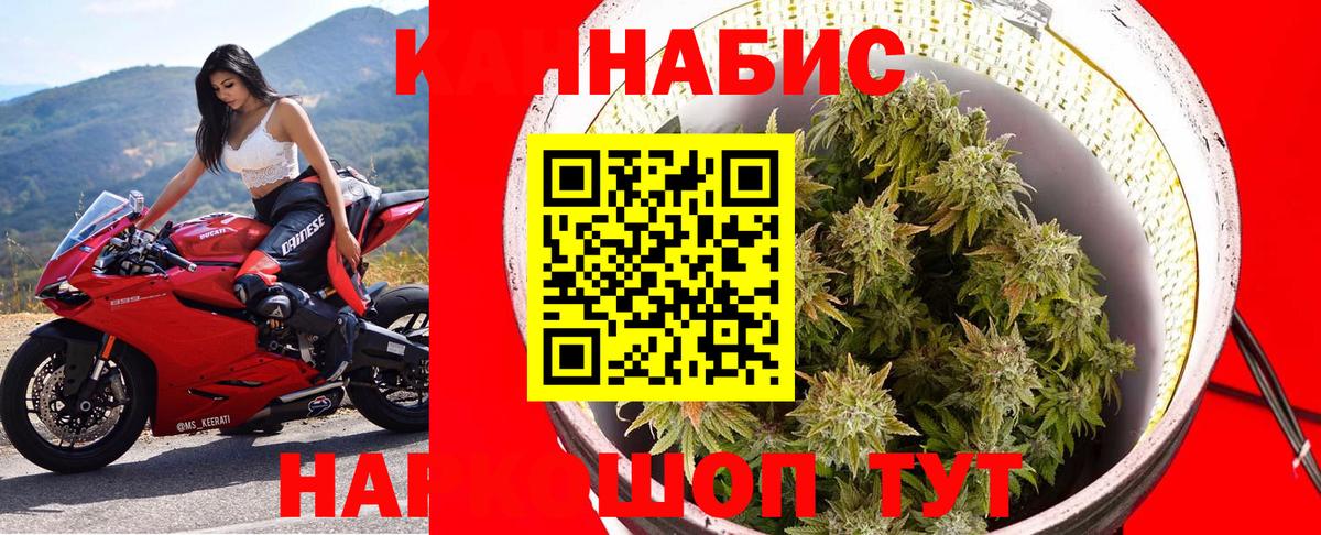 Шишки марихуана тримм  Шишки марихуана ГИДРОПОН  Вход с VPN  Вичуга  Бошки Шишки конопля 